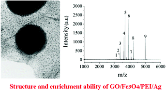Graphical abstract: Preparation and application of silver nanoparticle-functionalized magnetic graphene oxide nanocomposites