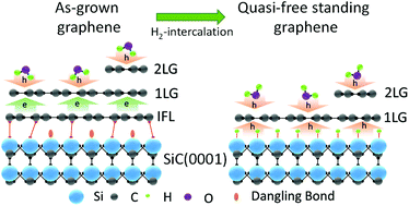 Graphical abstract: Tuning epitaxial graphene sensitivity to water by hydrogen intercalation
