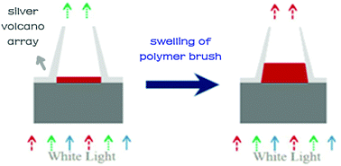Graphical abstract: Naked eye plasmonic indicator with multi-responsive polymer brush as signal transducer and amplifier