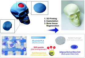 Graphical abstract: Enhanced bone tissue regeneration using a 3D printed microstructure incorporated with a hybrid nano hydrogel