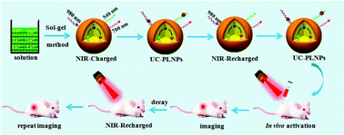 Graphical abstract: A 980 nm laser-activated upconverted persistent probe for NIR-to-NIR rechargeable in vivo bioimaging