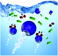 Graphical abstract: Chitosan-based water-propelled micromotors with strong antibacterial activity