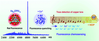 Graphical abstract: Penicillamine-protected Ag20 nanoclusters and fluorescence chemosensing for trace detection of copper ions
