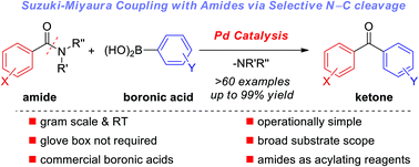 Graphical abstract: Palladium-catalyzed Suzuki–Miyaura coupling of amides by carbon–nitrogen cleavage: general strategy for amide N–C bond activation