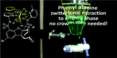 Graphical abstract: A molecular receptor for zwitterionic phenylalanine