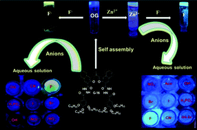 Graphical abstract: A novel smart supramolecular organic gelator exhibiting dual-channel responsive sensing behaviours towards fluoride ion via gel–gel states