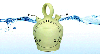 Graphical abstract: Water in asymmetric organocatalytic systems: a global perspective