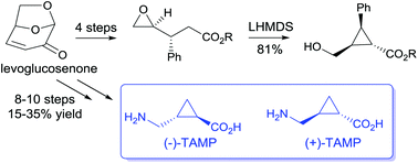 Graphical abstract: Synthesis of enantiopure cyclopropyl esters from (−)-levoglucosenone