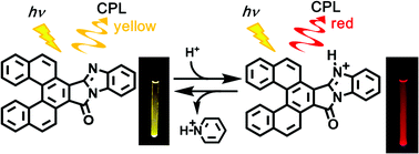 Graphical abstract: Protonation-induced red-coloured circularly polarized luminescence of [5]carbohelicene fused by benzimidazole