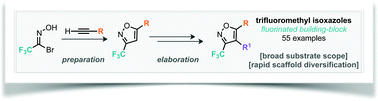 Graphical abstract: Synthesis of trifluoromethylated isoxazoles and their elaboration through inter- and intra-molecular C–H arylation