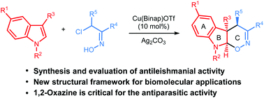 Graphical abstract: Insights into the structural patterns of the antileishmanial activity of bi- and tricyclic N-heterocycles