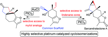 Graphical abstract: Platinum-catalyzed cycloisomerizations of a common enyne: a divergent entry to cyclopropane sesquiterpenoids. Formal synthesis of sarcandralactone A
