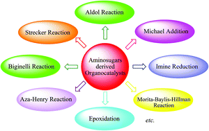 Graphical abstract: Progress in aminosugar derived asymmetric organocatalysis
