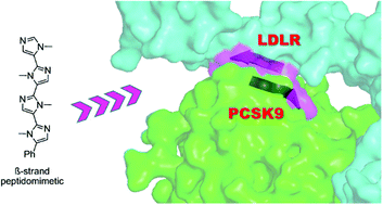 Graphical abstract: Disrupting the PCSK9/LDLR protein–protein interaction by an imidazole-based minimalist peptidomimetic