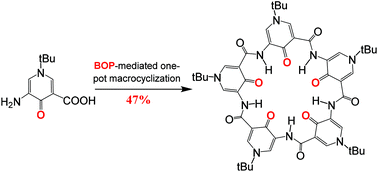 Graphical abstract: Computation-guided improved one-pot synthesis of macrocyclic cation-binding aromatic pyridone pentamers