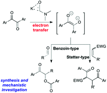 Graphical abstract: Cross-benzoin and Stetter-type reactions mediated by KOtBu-DMF via an electron-transfer process