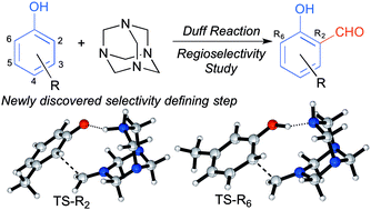 Graphical abstract: A theoretical study of the Duff reaction: insights into its selectivity
