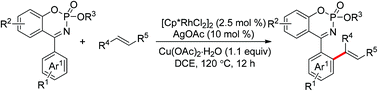 Graphical abstract: Rhodium(iii)-catalyzed ortho-alkenylation using a cyclic N-phosphoryl ketimine as the directing group