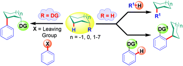 Graphical abstract: C–H functionalisation of cycloalkanes