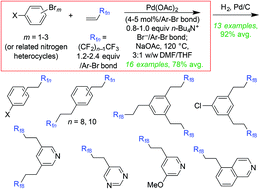 Graphical abstract: Convenient protocols for Mizoroki–Heck reactions of aromatic bromides and polybromides with fluorous alkenes of the formula H2C [[double bond, length as m-dash]] CH(CF2)n−1CF3 (n = 8, 10)