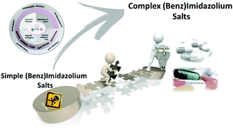 Graphical abstract: Imidazolium and benzimidazolium-containing compounds: from simple toxic salts to highly bioactive drugs