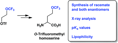 Graphical abstract: Synthesis and physical chemical properties of 2-amino-4-(trifluoromethoxy)butanoic acid – a CF3O-containing analogue of natural lipophilic amino acids