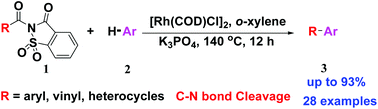 Graphical abstract: Rhodium-catalyzed C–H functionalization with N-acylsaccharins