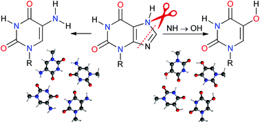 Graphical abstract: The evaluation of 5-amino- and 5-hydroxyuracil derivatives as potential quadruplex-forming agents
