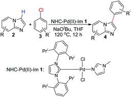 Graphical abstract: N-Heterocyclic carbene–palladium(ii)–1-methylimidazole complex catalyzed direct C–H bond arylation of imidazo[1,2-a]pyridines with aryl chlorides