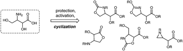 Graphical abstract: Studies on cyclization reactions of 3-amino-2,4-dihydroxybutanoic acid derivatives