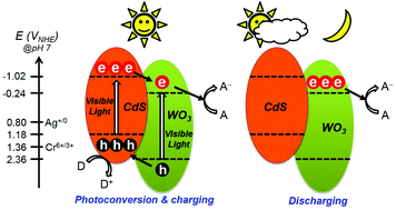Graphical abstract: Harnessing and storing visible light using a heterojunction of WO3 and CdS for sunlight-free catalysis