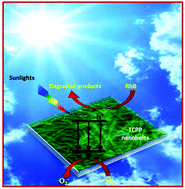 Graphical abstract: Arginine-induced porphyrin-based self-assembled nanostructures for photocatalytic applications under simulated sunlight irradiation