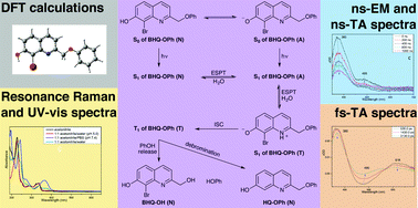 Graphical abstract: A spectroscopic study of the excited state proton transfer processes of (8-bromo-7-hydroxyquinolin-2-yl)methyl-protected phenol in aqueous solutions