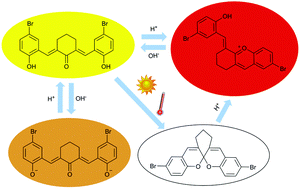 Graphical abstract: Investigations on the photochromic properties of 2,6-bis(5-bromo-2-hydroxybenzylidene)cyclohexanone