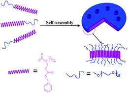 Graphical abstract: Disk-like micelles with cylindrical pores from amphiphilic polypeptide block copolymers