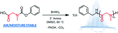 Graphical abstract: Synthesis of polysarcosine from air and moisture stable N-phenoxycarbonyl-N-methylglycine assisted by tertiary amine base