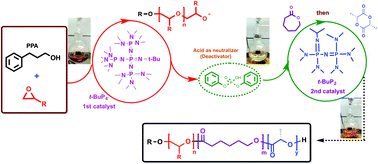 Graphical abstract: One-pot synthesis of well-defined polyether/polyester block copolymers and terpolymers by a highly efficient catalyst switch approach