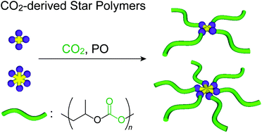 Graphical abstract: Synthesis of four- and six-armed star-shaped polycarbonates by immortal alternating copolymerization of CO2 and propylene oxide