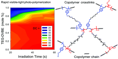 Graphical abstract: A composition-controlled cross-linking resin network through rapid visible-light photo-copolymerization