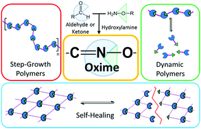 Graphical abstract: The emergence of oxime click chemistry and its utility in polymer science