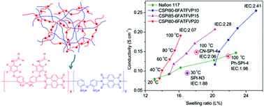 Graphical abstract: Highly sulfonated co-polyimides containing hydrophobic cross-linked networks as proton exchange membranes