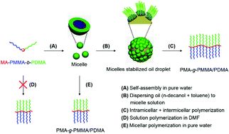 Graphical abstract: Efficient synthesis of narrowly dispersed amphiphilic double-brush copolymers through the polymerization reaction of macromonomer micelle emulsifiers at the oil–water interface