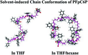 Graphical abstract: Solvent-dependent chain conformation for ring closure of metal carbonyl oligomers via migration insertion polymerization (MIP) of CpFe(CO)2(CH2)6PPh2