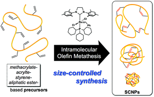 Graphical abstract: Intramolecular olefin metathesis as a robust tool to synthesize single-chain nanoparticles in a size-controlled manner