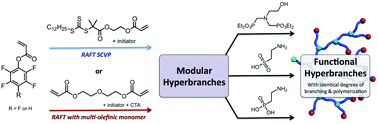 Graphical abstract: Modular segmented hyperbranched copolymers