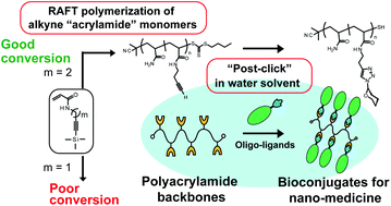 Graphical abstract: Polyacrylamide backbones for polyvalent bioconjugates using “post-click” chemistry