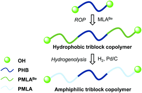 Graphical abstract: Polyhydroxybutyrate (PHB)-based triblock copolymers: synthesis of hydrophobic PHB/poly(benzyl β-malolactonate) and amphiphilic PHB/poly(malic acid) analogues by ring-opening polymerization