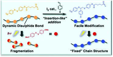 Graphical abstract: Facile modification and fixation of diaryl disulphide-containing dynamic covalent polyesters by iodine-catalysed insertion-like addition reactions of styrene derivatives to disulphide units