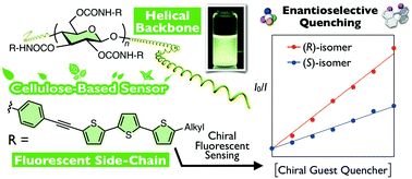 Graphical abstract: Chiral fluorescent sensors based on cellulose derivatives bearing terthienyl pendants
