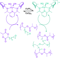 Graphical abstract: Redox-triggered crosslinking of a degradable polymer